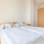 Steko 아파트 *